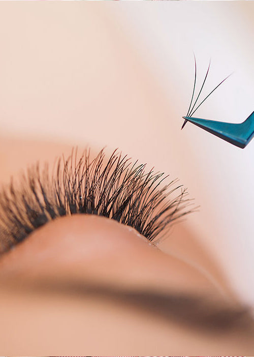 Welcome to WOW Lashes